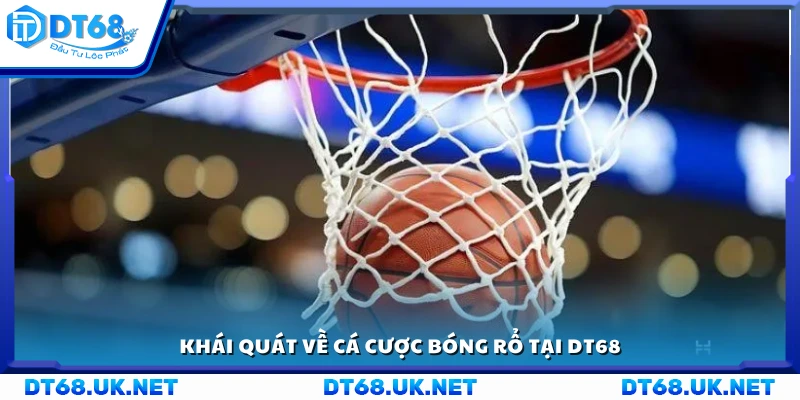 Sơ lược về nền tảng cá cược bóng rổ DT68