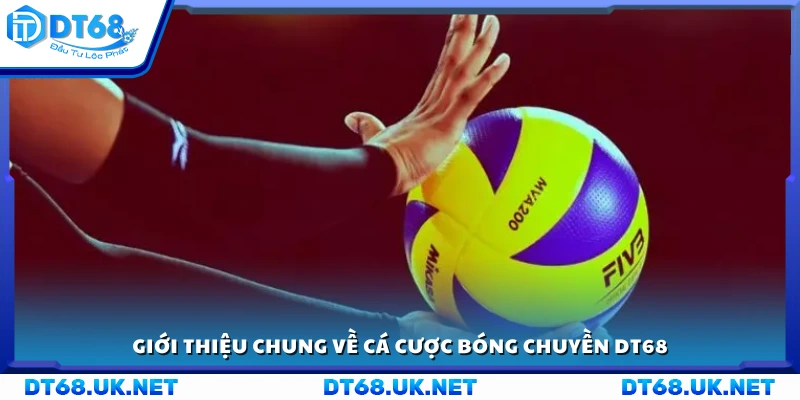 Sơ lược về cá cược bóng chuyền DT68