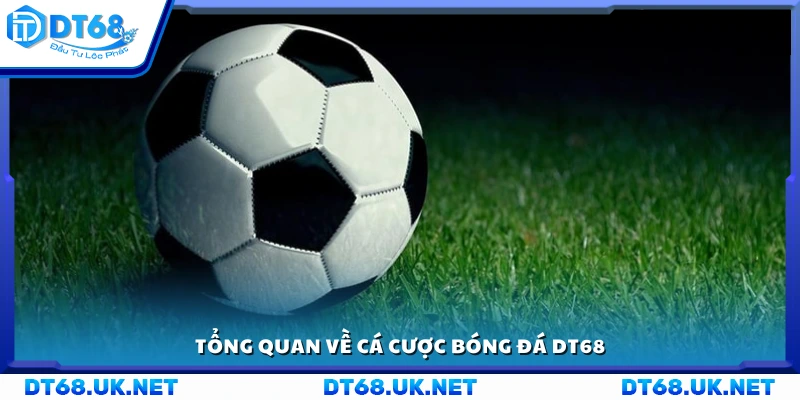 Giới thiệu sơ lược cá cược bóng đá DT68