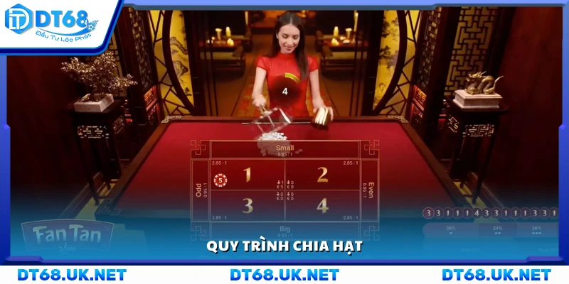Quy trình chia hạt trong Fantan