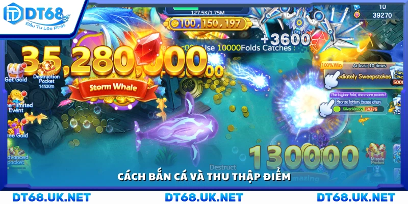 Hướng dẫn cách bắn cá và thu điểm